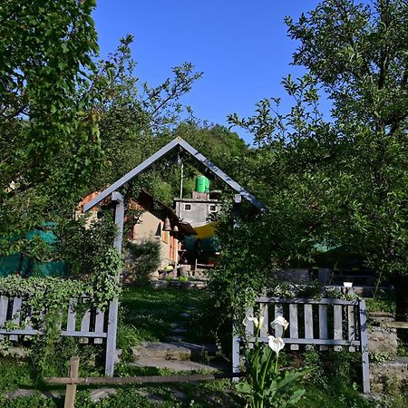 Himalayan Mud Resort Kasol Zewnętrze zdjęcie